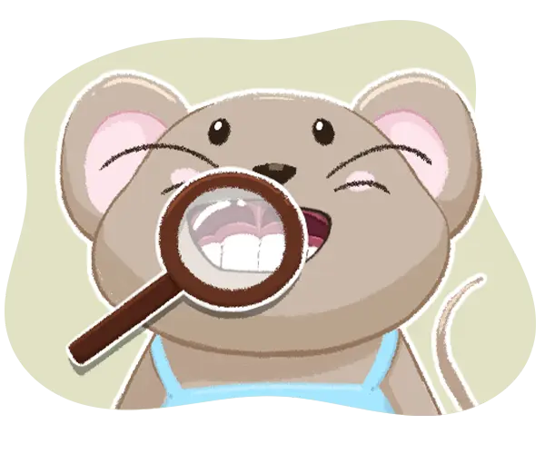 Frein labial et lingual